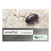 asselfrei Asselfalle