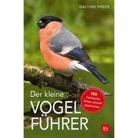 BLV Buch - Der kleine BLV Vogelführer