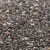 Eschenfelder Bio Keimsaat Chia Nahaufnahme