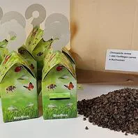Florfliegen + BioBoxen