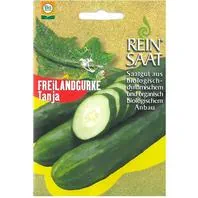 Reinsaat Freilandgurke Tanja