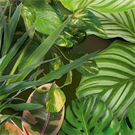 Neudorff NeudoHum Grünpflanzen- und Palmenerde