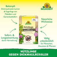 Neudorff HM-Nemtoden gegen Dickmaulrüsslerlarven Vorteile