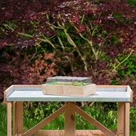 Romberg Anzuchthaus aus Holz