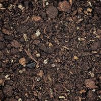 Hypoline Hypoaspis miles Bodenraubmilbe Trägermaterial