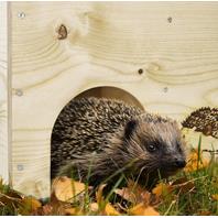 Holz-Igelhaus mit Igel