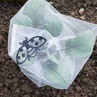 Andermatt Biogarten Insektenschutz-Taschen Gemüse