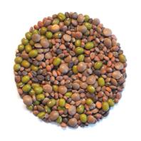 Keimgrün Bio Sprossenmix Salat