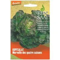 Reinsaat Kopfsalat Merveille des quatre saisons