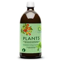Multikraft Plants