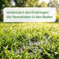 Nema-Quick Bewässerungshilfe