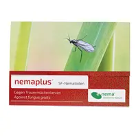 nemaplus Trauermückenbekämpfung
