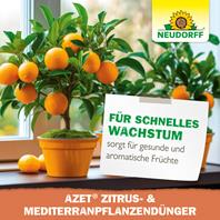 Azet Zitrus-& MediterranpflanzenDünger flüssig von Neudorff für aromatische Früchte Neudorff Azet Zitrus-& MediterranpflanzenDünger flüssig aromatische Früchte