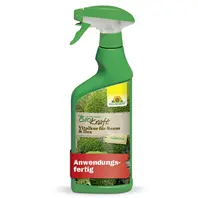 Neudorff Biokraft Vitalkur für Buxus & Ilex anwendungsfertig