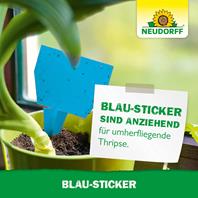 Neudorff Blau-Sticker gegen Thripe