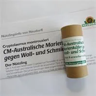 Neudorff CM Australische Marienkäfer
