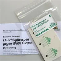 Neudorff EF Schlupfwespen