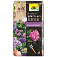 Mittel gegen ameisen im haus