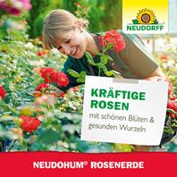 Neudorff NeudoHum Rosenerde kräftige Rosen