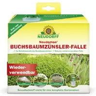 Neudorff Neudomon Buchsbaumzünslerfalle