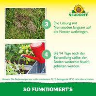 Neudorff SF Nematoden gegen Ameisen Ausbringen