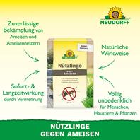 Neudorff SF Nematoden gegen Ameisen Vorteile