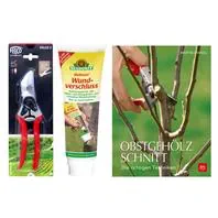 Set Obstgehölzschnitt