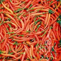 Reinsaat Chili Lanterna de foc Saatgut