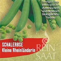 Reinsaat Schalerbse Kleine Rheinländerin Saatgut