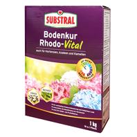 Substral Bodenkur Rhodo-Vital 1 kg
