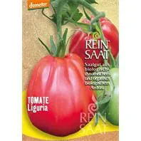 Reinsaat Ochsenherztomate Liguria Saatgut