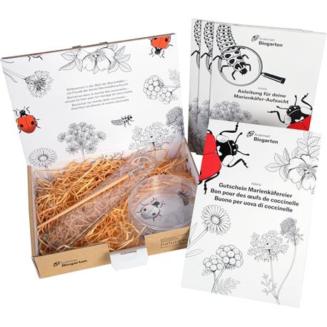 Andermatt Biogarten Marienkäfer-Aufzuchtset Inhalt