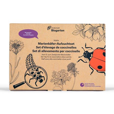 Andermatt Biogarten Marienkäfer-Aufzuchtset
