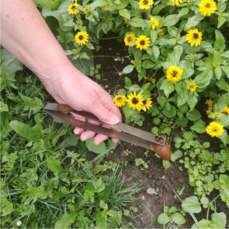 Andermatt Biogarten Schneckengreifer Saudenbeet