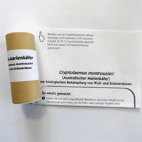 Lieferung des australischen Marienkäfers