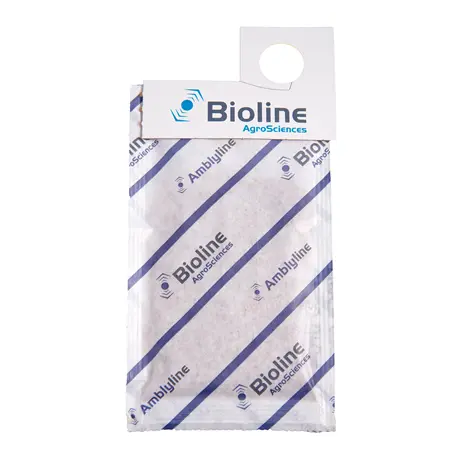 BiolineAmblyline Amblyseius cucumeris CRS-Tüte