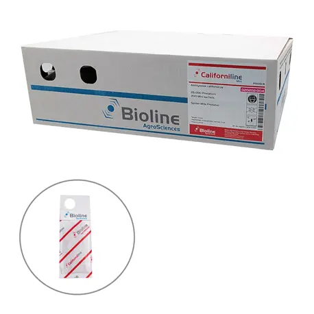Bioline Californiline Amblyseius californicus 200 Mini-Sachets