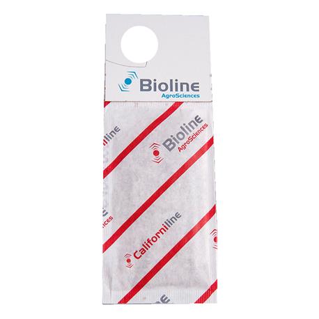 Bioline Californiline Amblyseius californicus Mini-Tüte