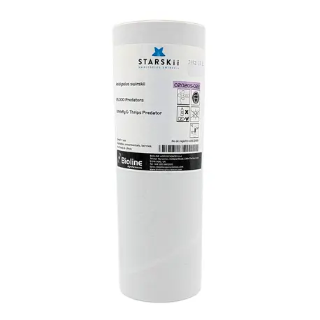Bioline Starskii Ambyseius swirskii Streuware