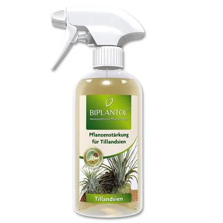 Tillandsien Spray von Biplantol
