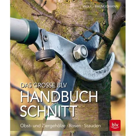 Artikel ausverkauft