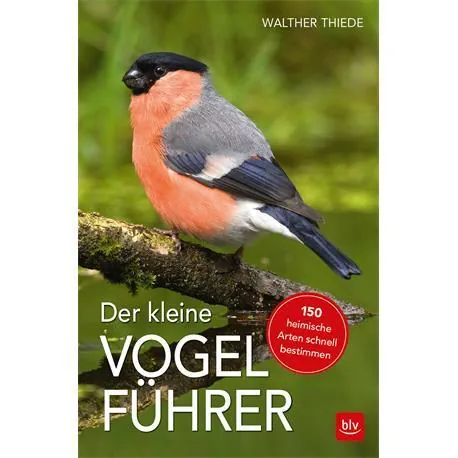 Der kleine Vogelführer Bestimmungsbuch für Vögel