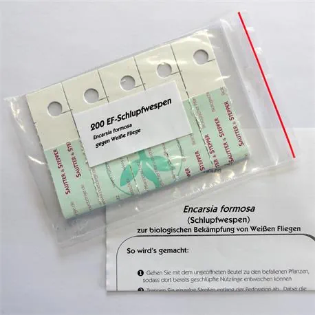 Lieferung von Encarsia formosa Schlupfwespe