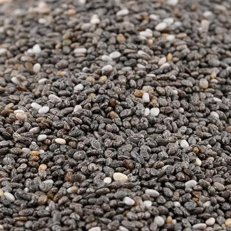 Eschenfelder Bio Keimsaat Chia Nahaufnahme