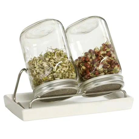 Eschenfelder Sprossenglas Duo