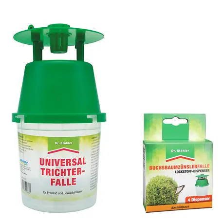 Buchsbaumzünslerfalle