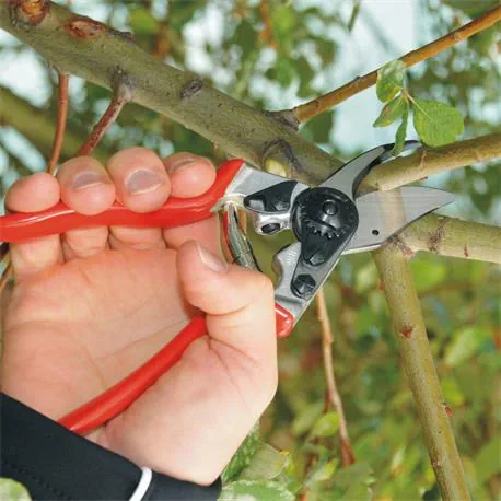 Felco 6 Gartenschere in Anwendung