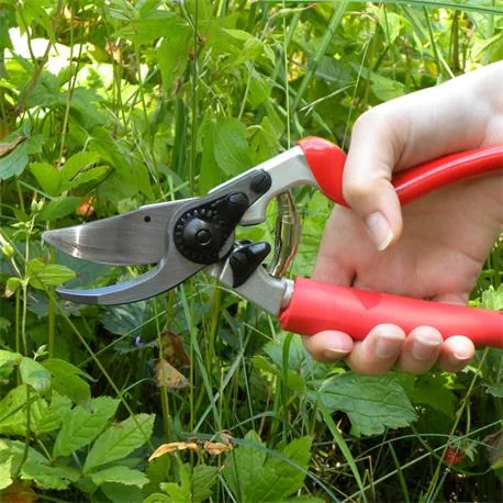 Gartenschere Felco 7 in Anwendung