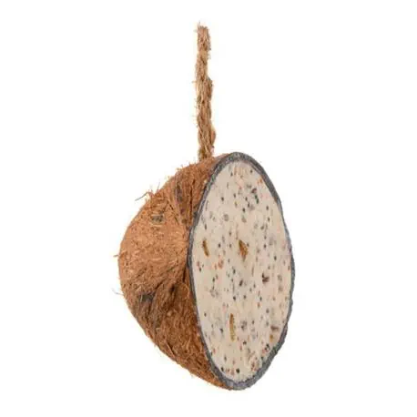 Halbe Kokosnuss mit Mehlwürmern