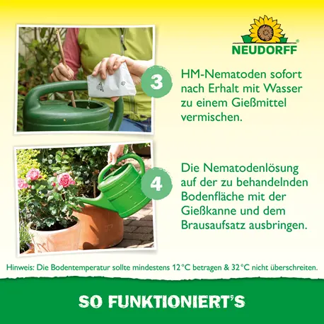 Neudorff HM-Nemtoden gegen Dickmaulrüsslerlarven Anmischen und Ausbringen